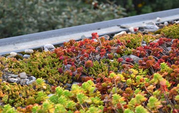 the cost of Yarlside green roof installation