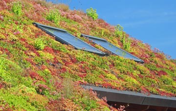 Yarlside living roof systems